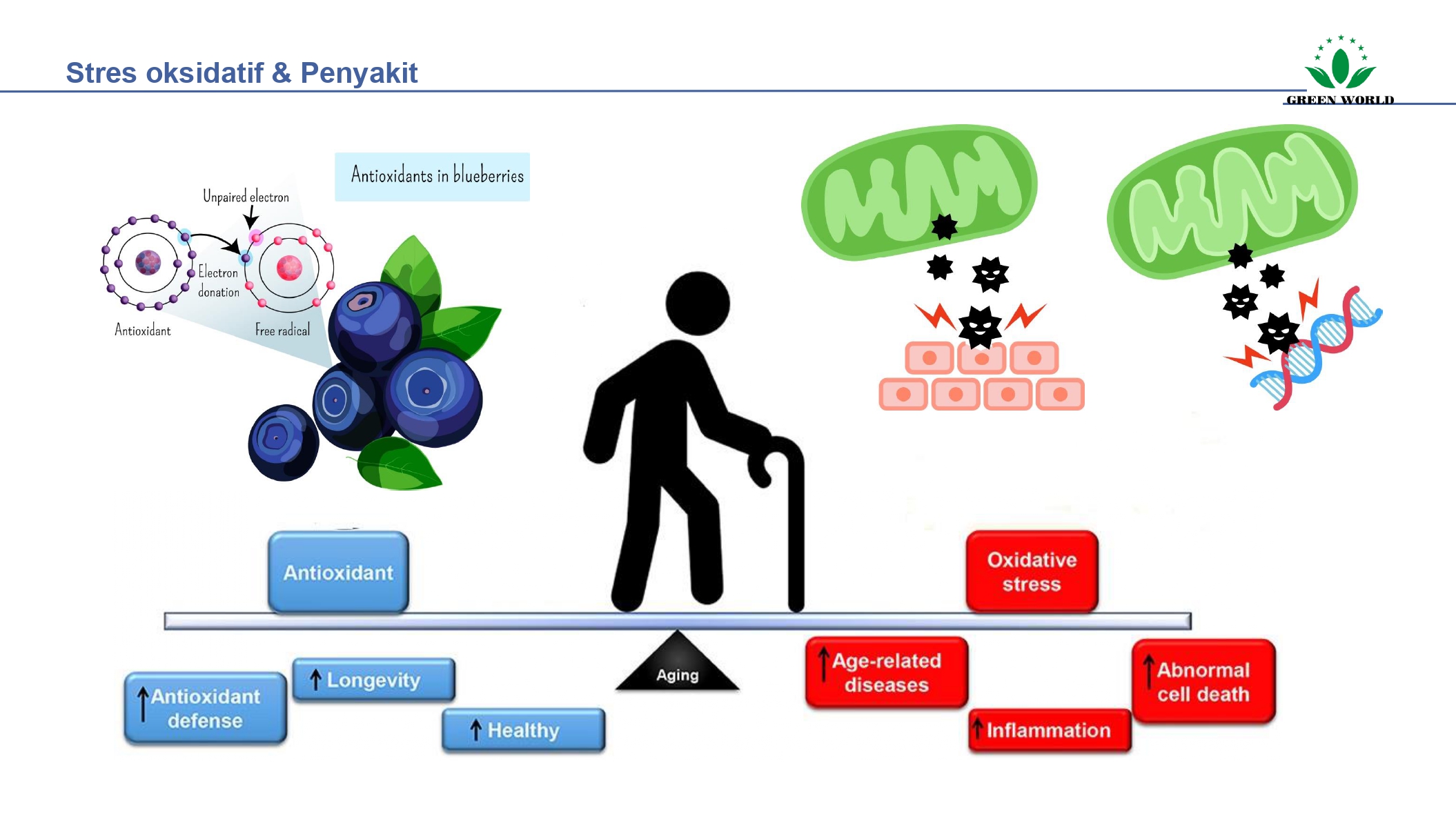 Education content image